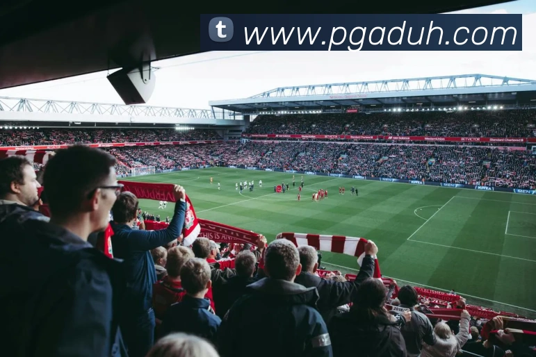 pg电子平台生态图